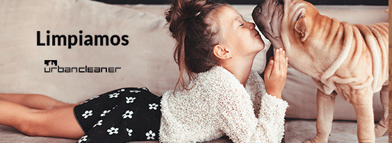 Limpieza sofá